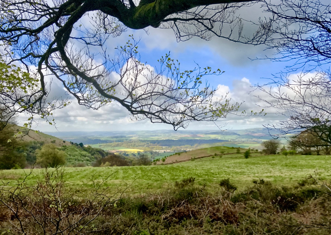 ScreenShot20160305at13.11.53