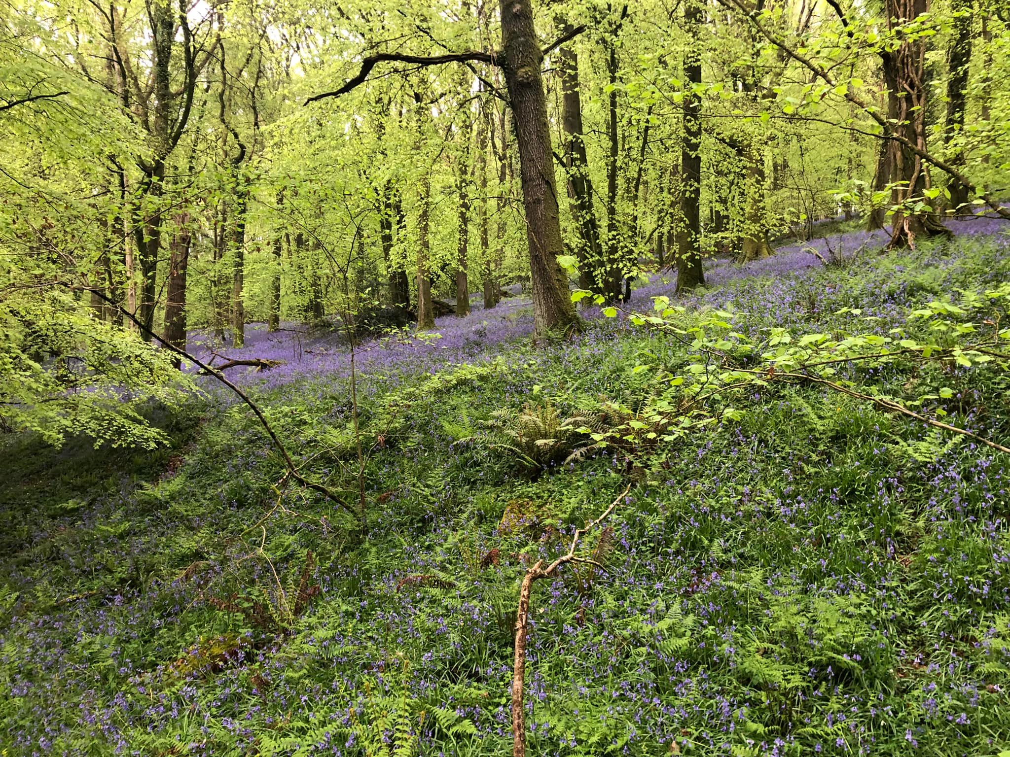 Glyndwr%20day%201%20 %202