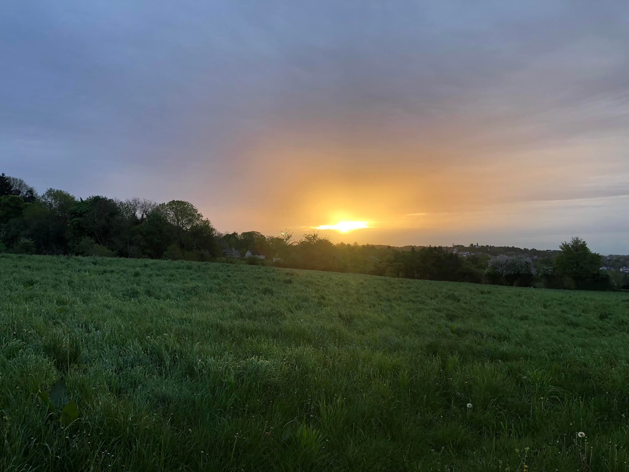 Glyndwr%20day%201%20 %201