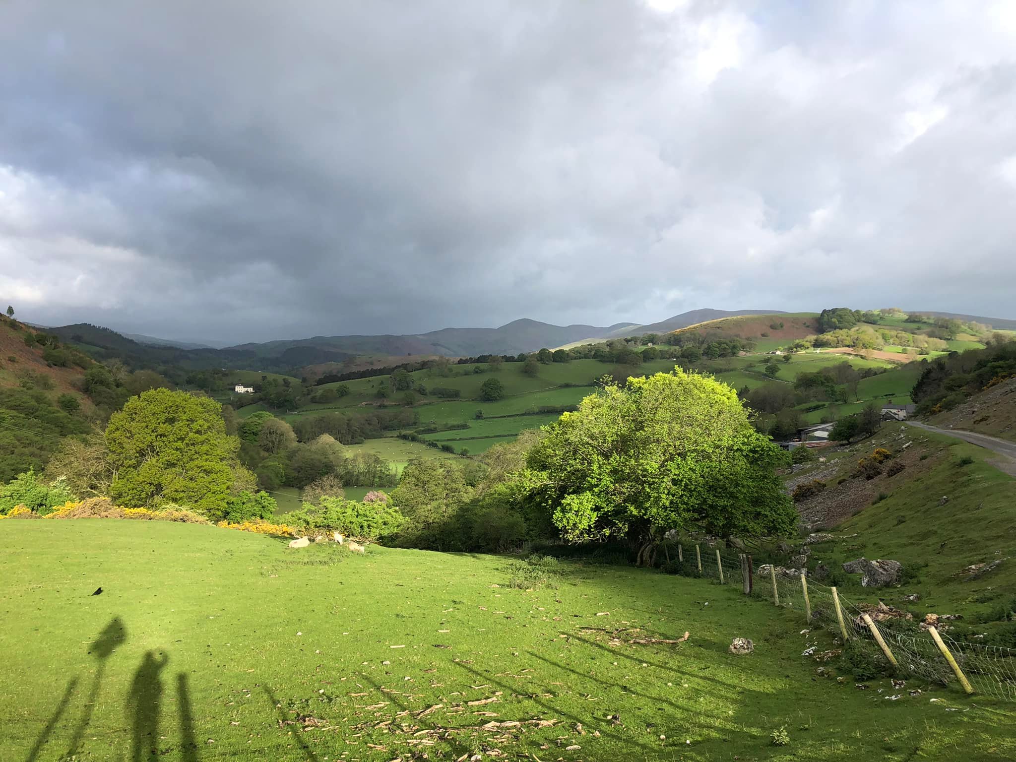 Glyndwr%20day%201%20 %202