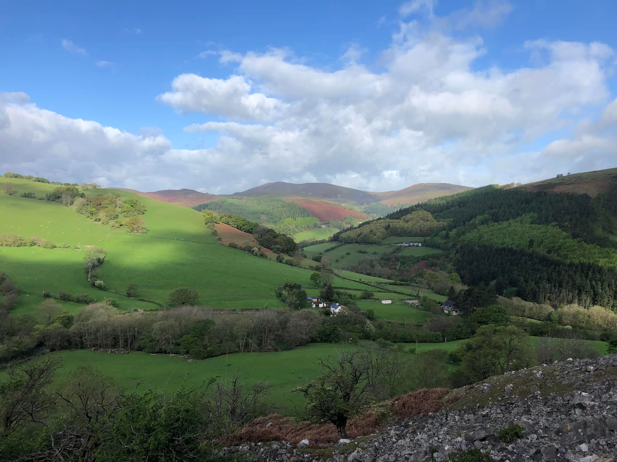 Glyndwr%20day%201%20 %203