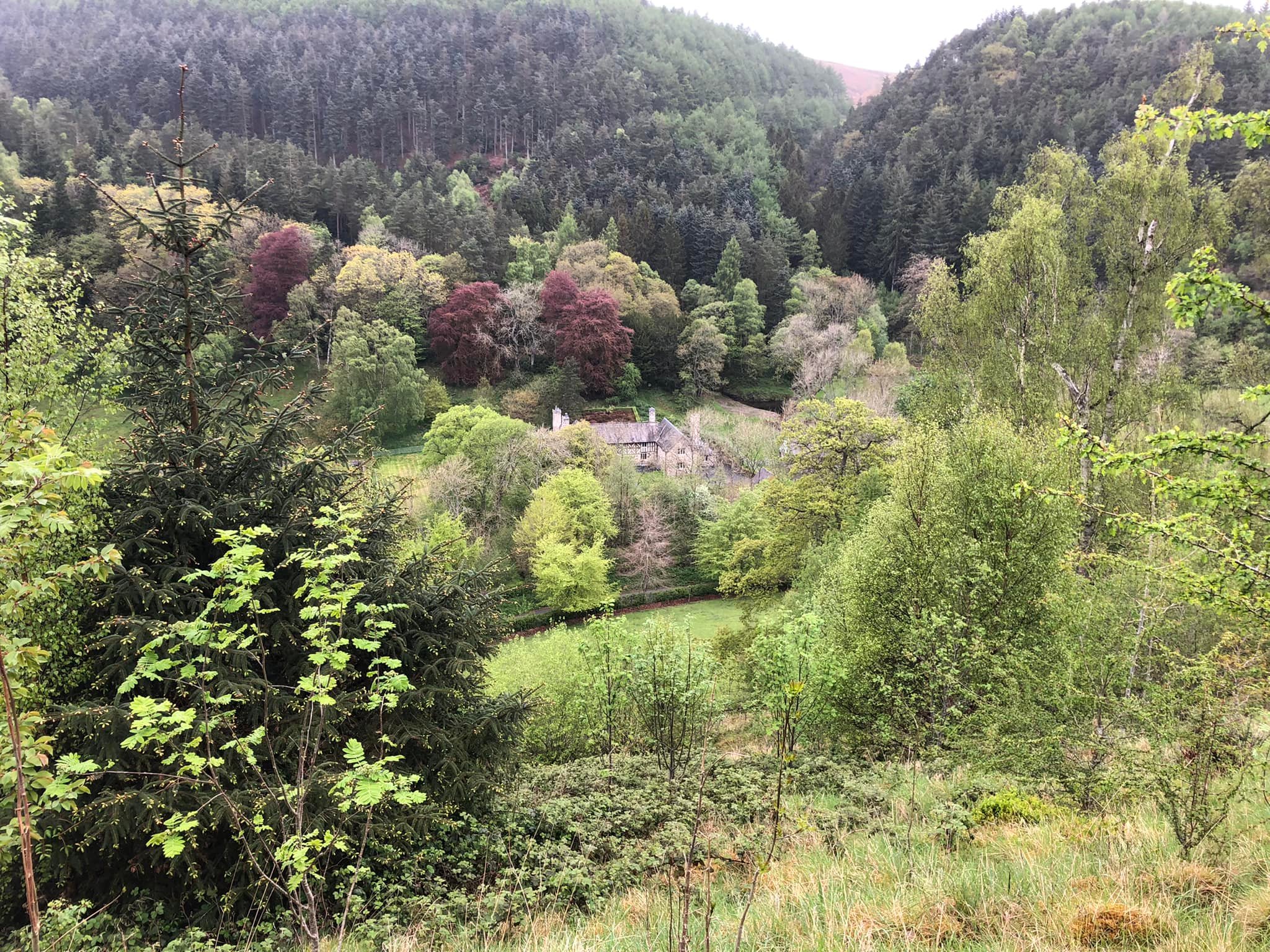 Glyndwr%20day%201%20 %206