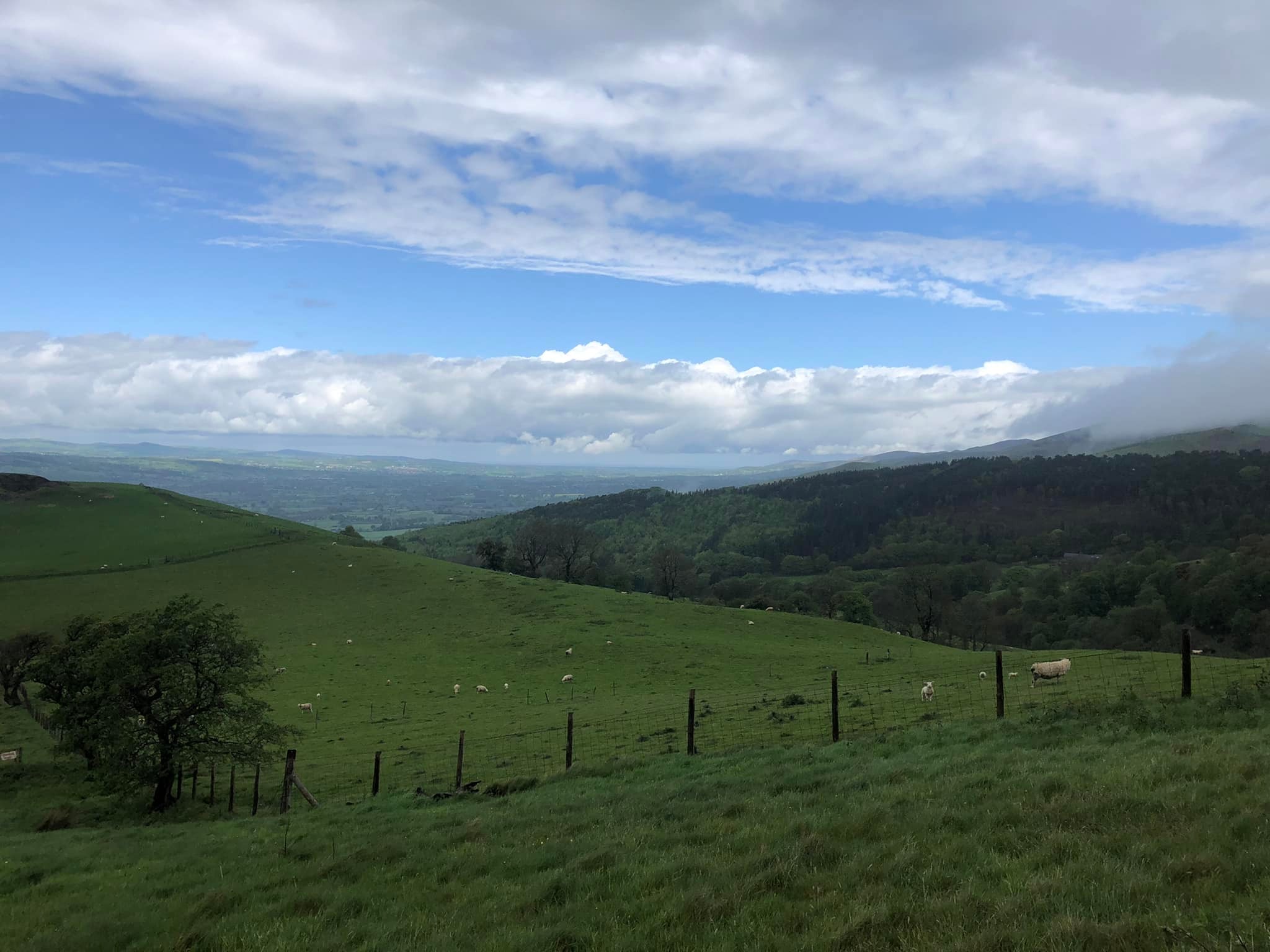 Glyndwr%20day%201%20 %203