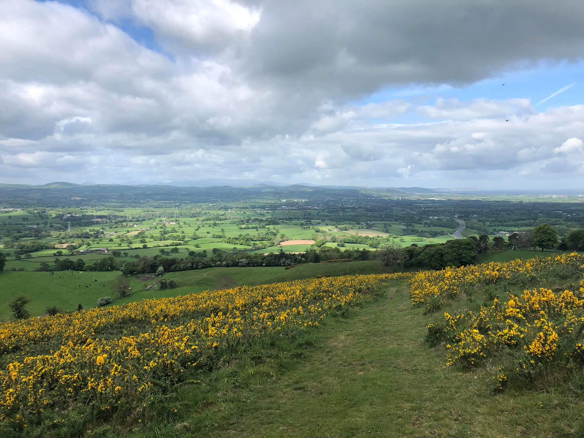 Glyndwr%20day%201%20 %205