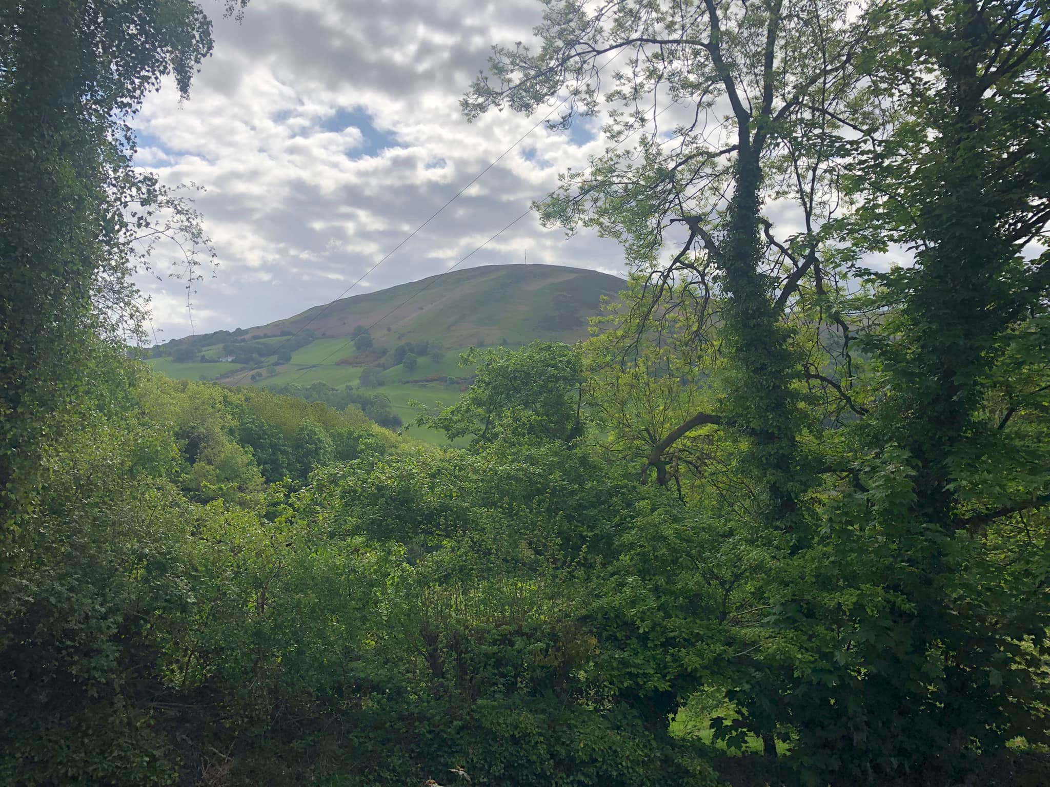 Glyndwr%20day%201%20 %203