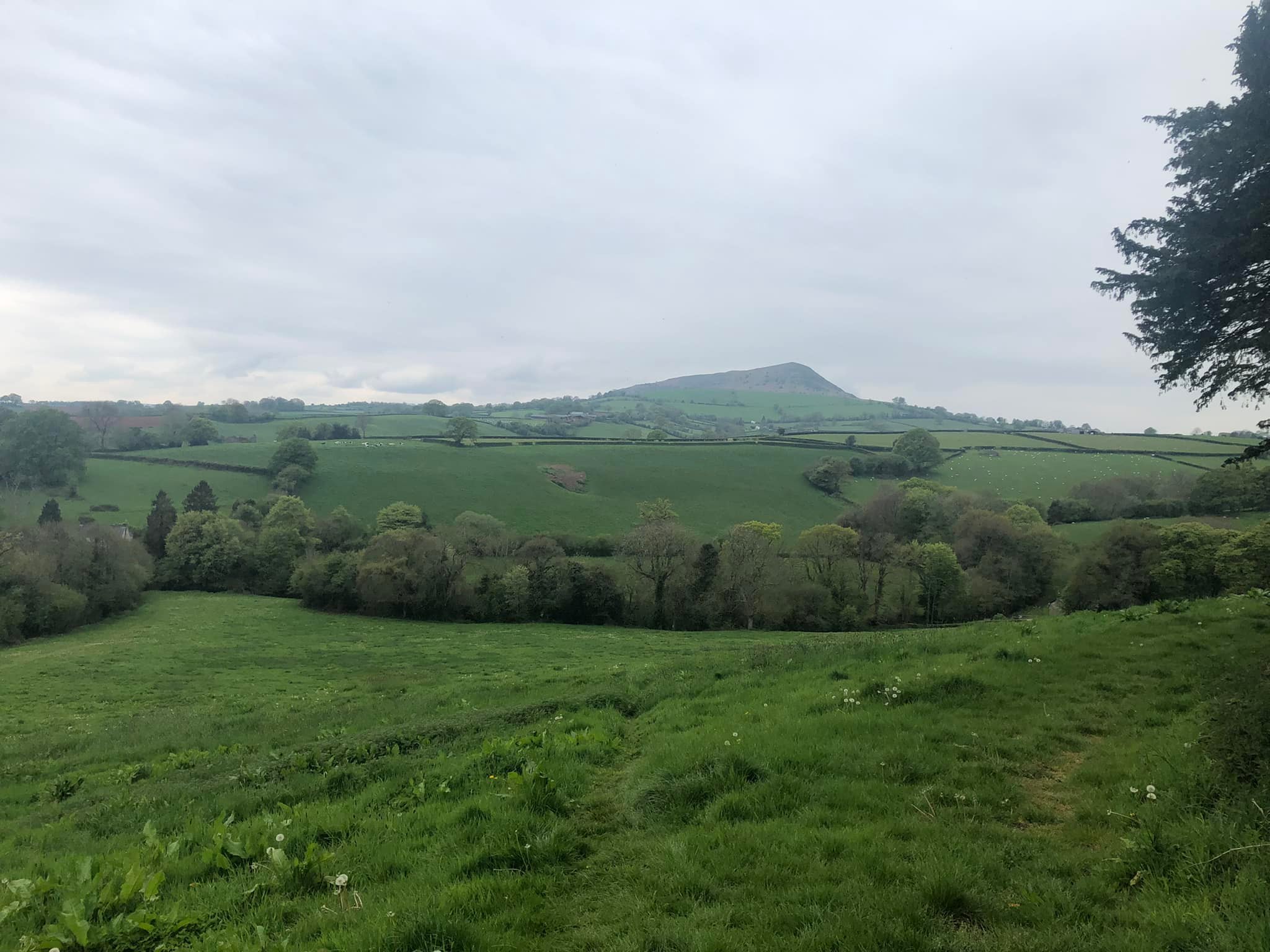 Glyndwr%20day%201%20 %201