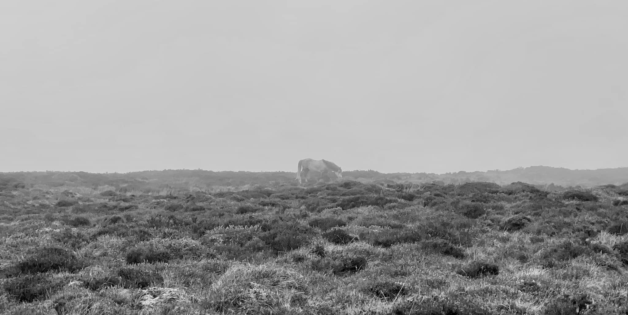 Glyndwr%20day%201%20 %201