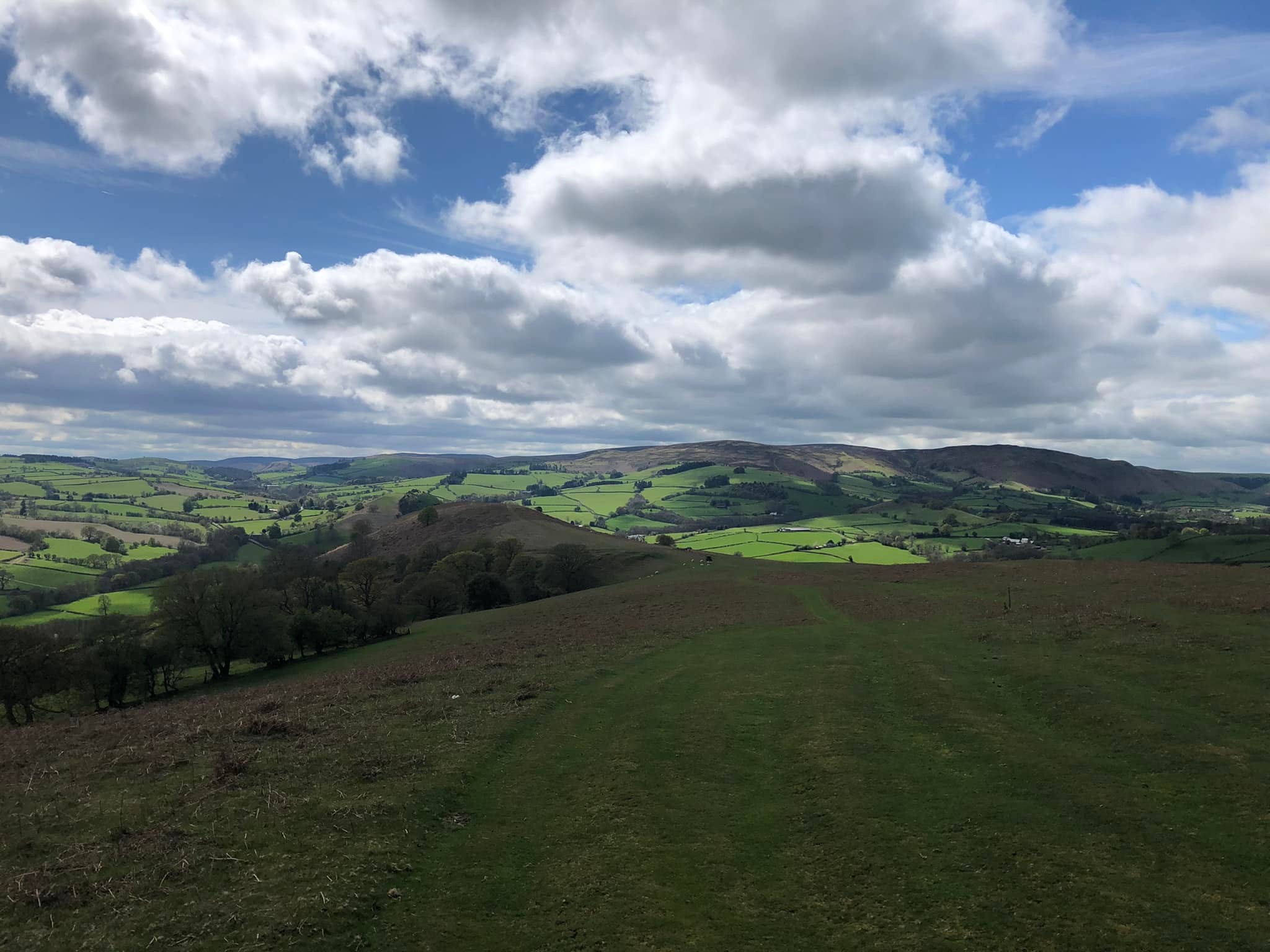 Glyndwr%20day%201%20 %201