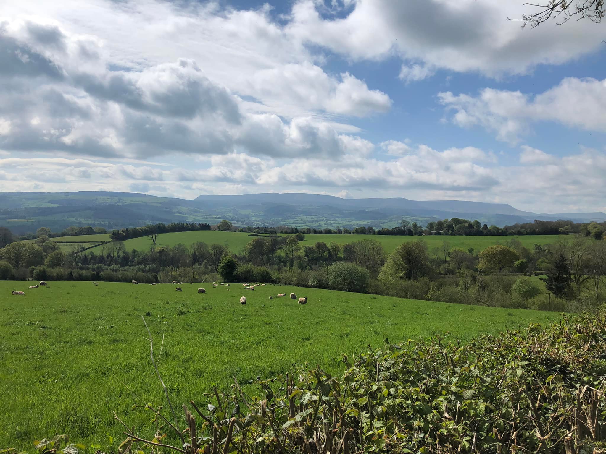 Glyndwr%20day%201%20 %202