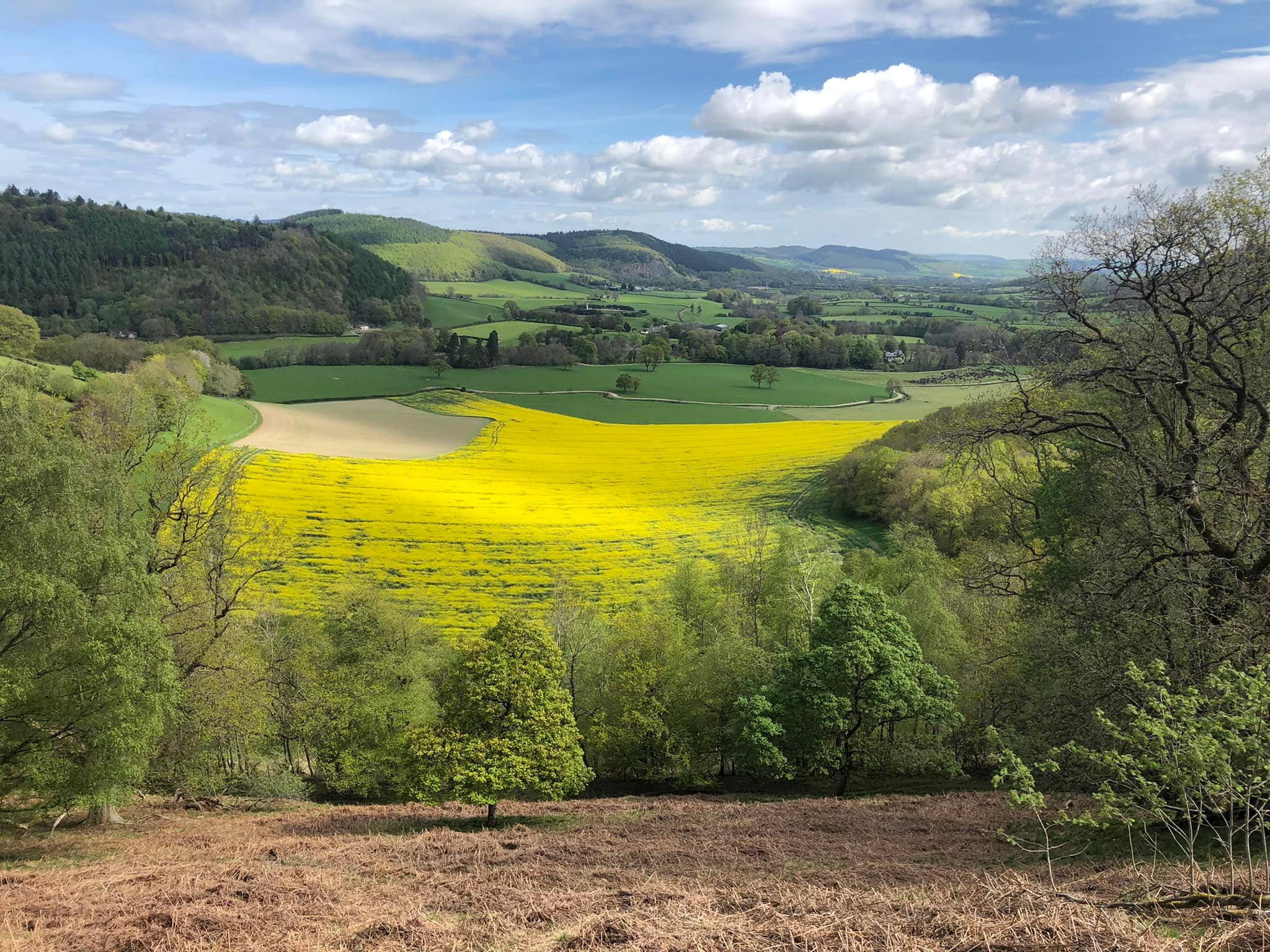 Glyndwr%20day%201%20 %204