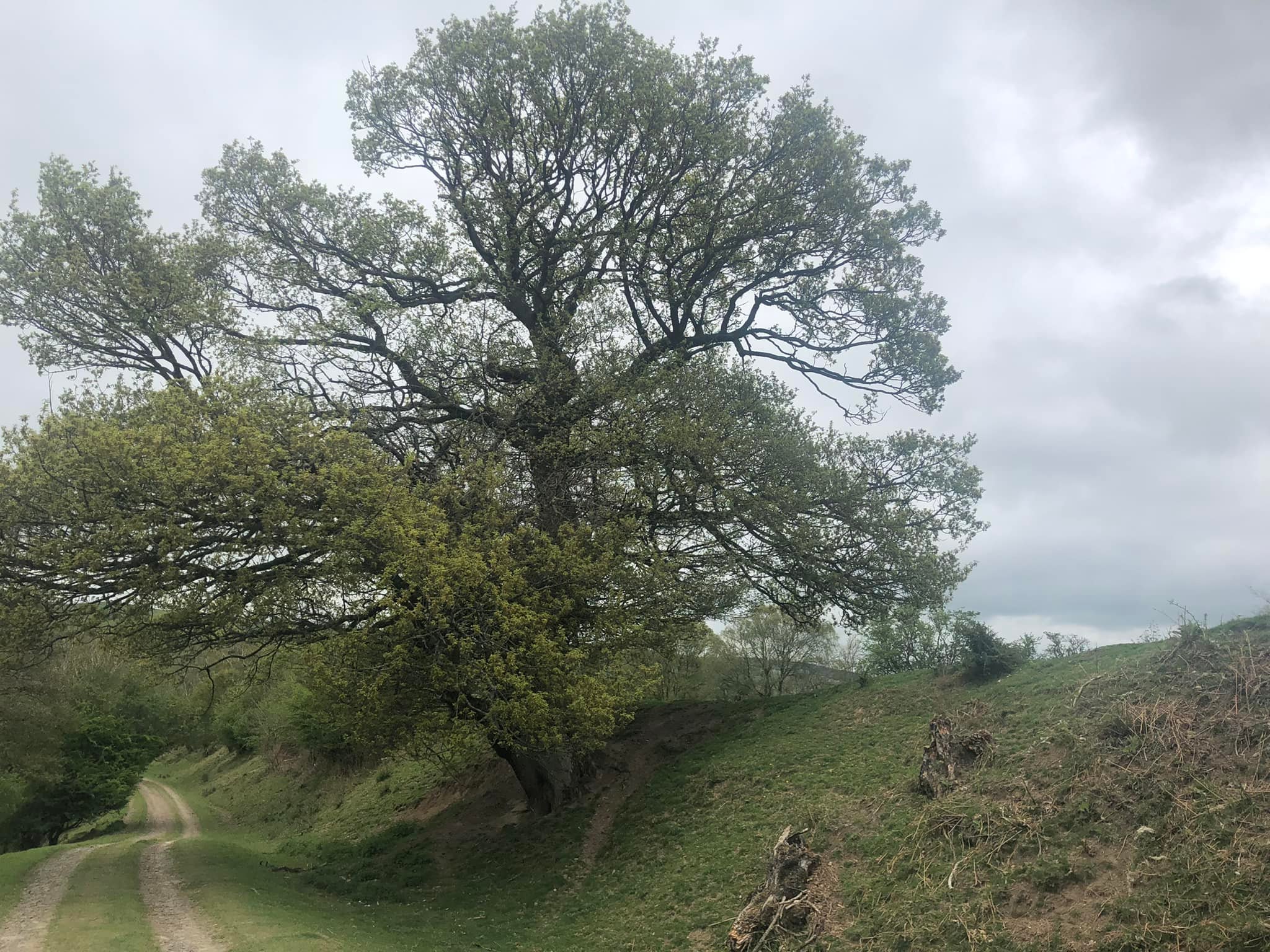 Glyndwr%20day%201%20 %204