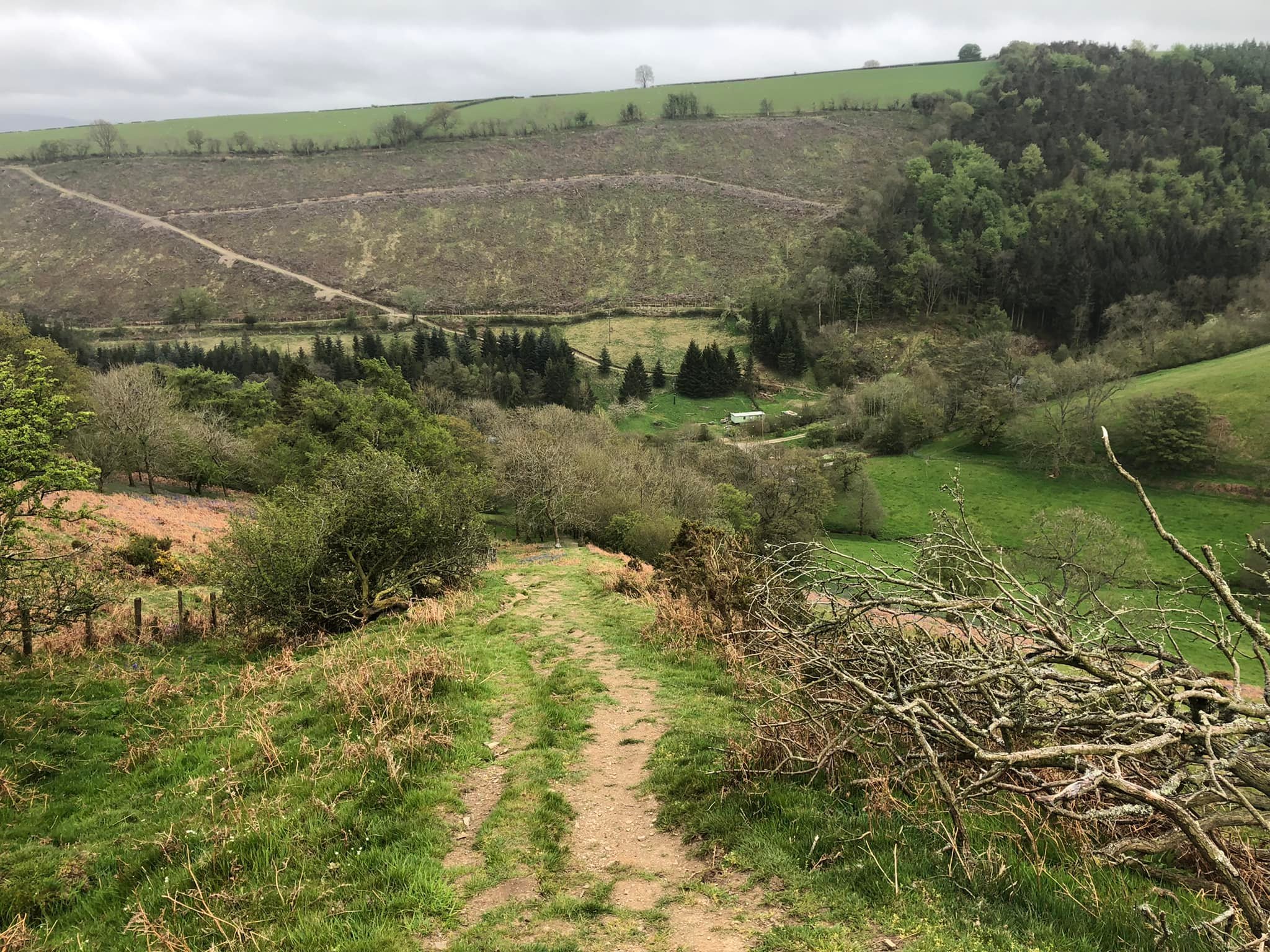 Glyndwr%20day%201%20 %202