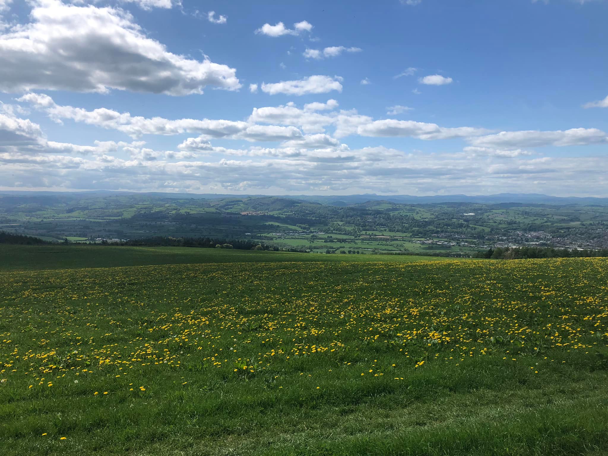 Glyndwr%20day%201%20 %201