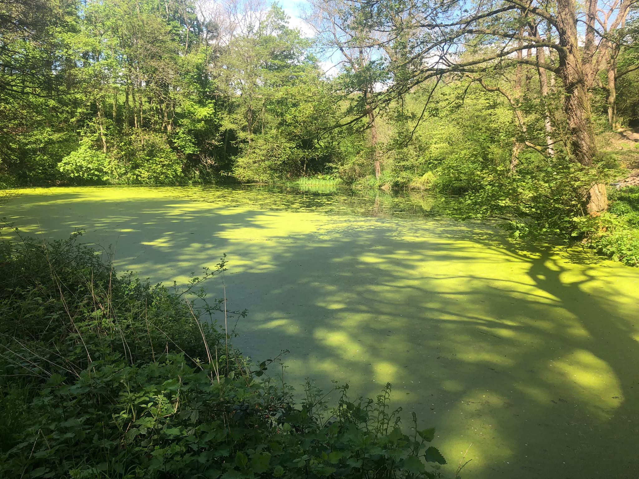 Glyndwr%20day%201%20 %204