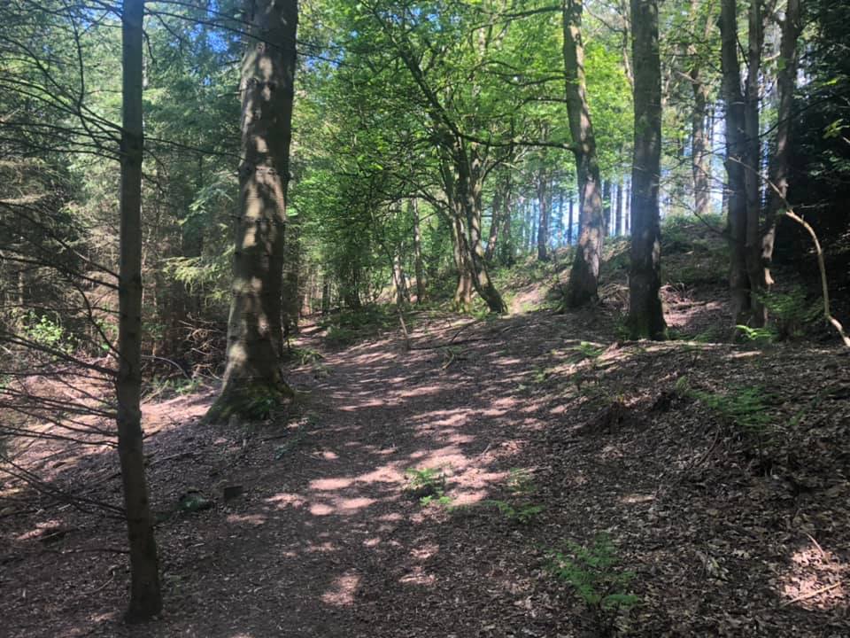 Glyndwr%20day%201%20 %202