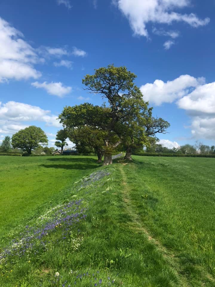 Glyndwr%20day%201%20 %205