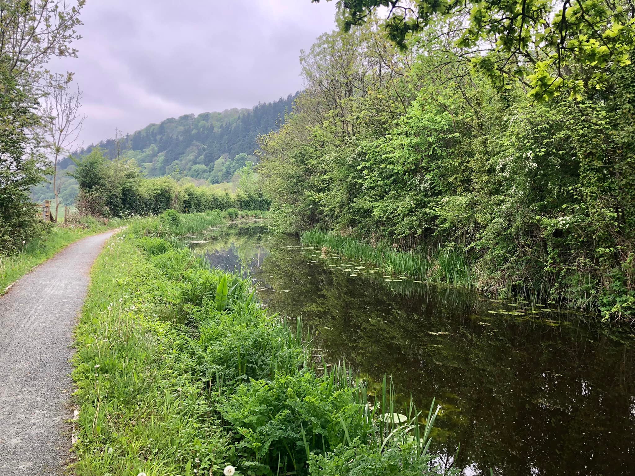 Glyndwr%20day%201%20 %204