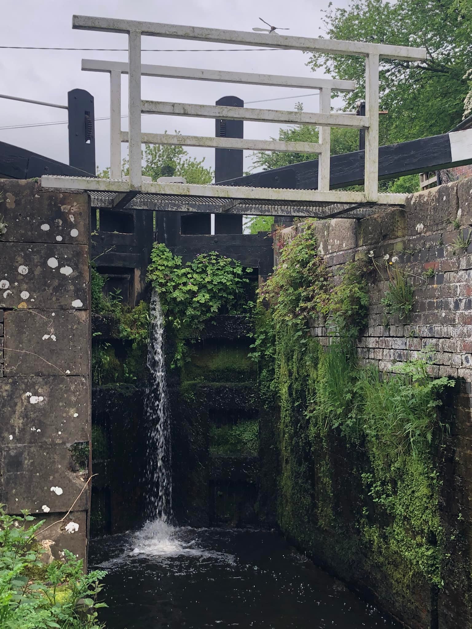 Glyndwr%20day%201%20 %202