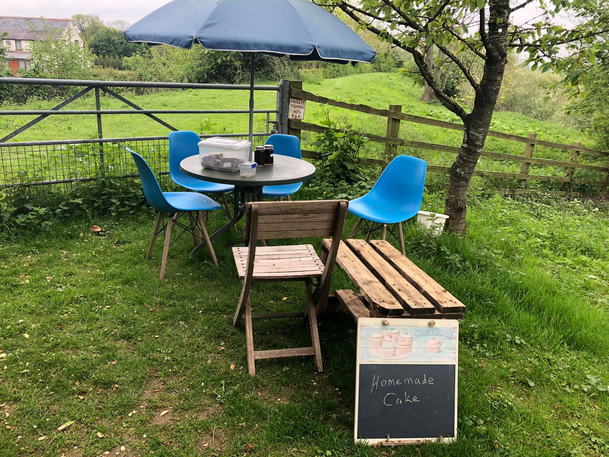 Glyndwr%20day%201%20 %206