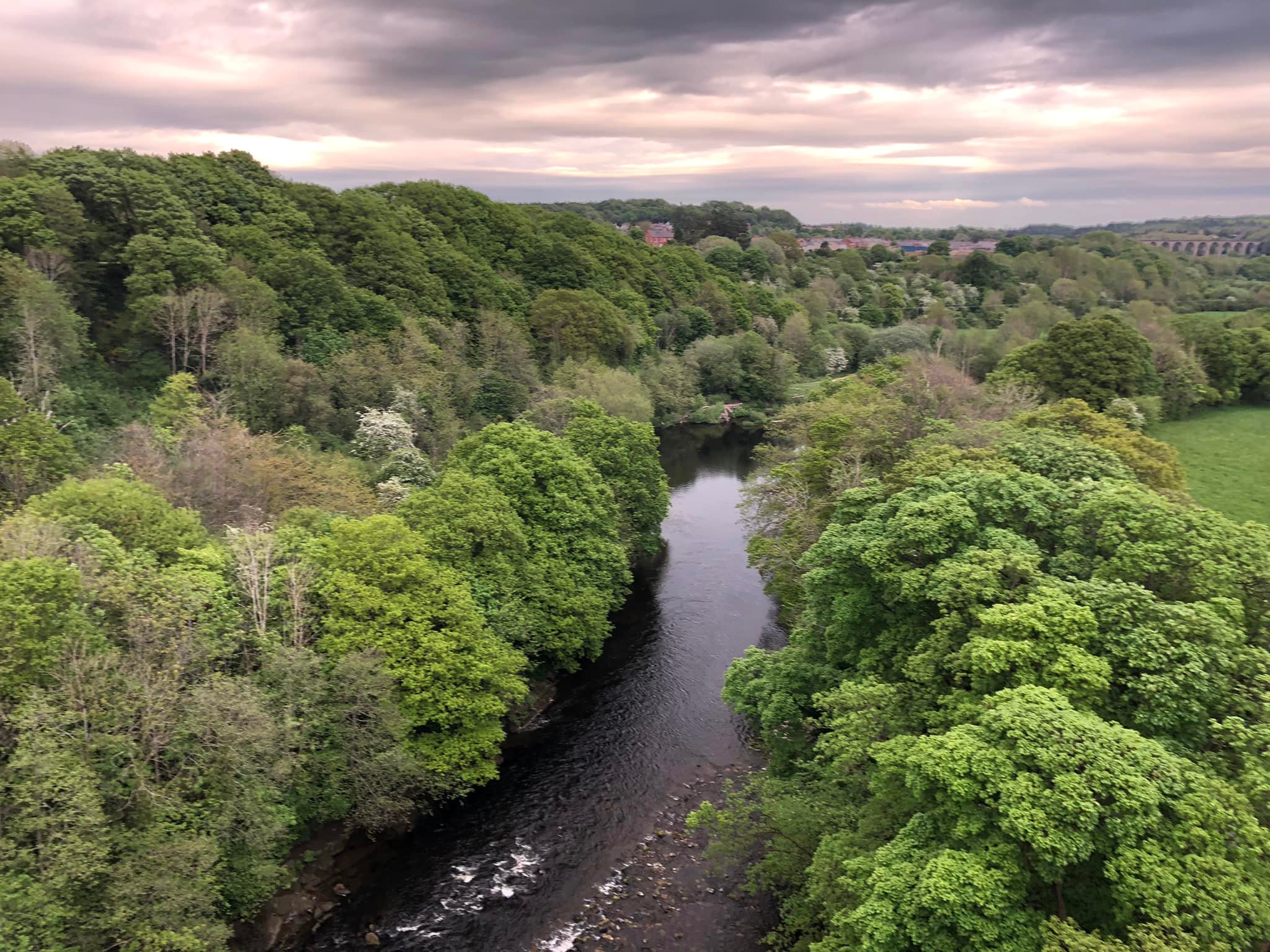 Glyndwr%20day%201%20 %202