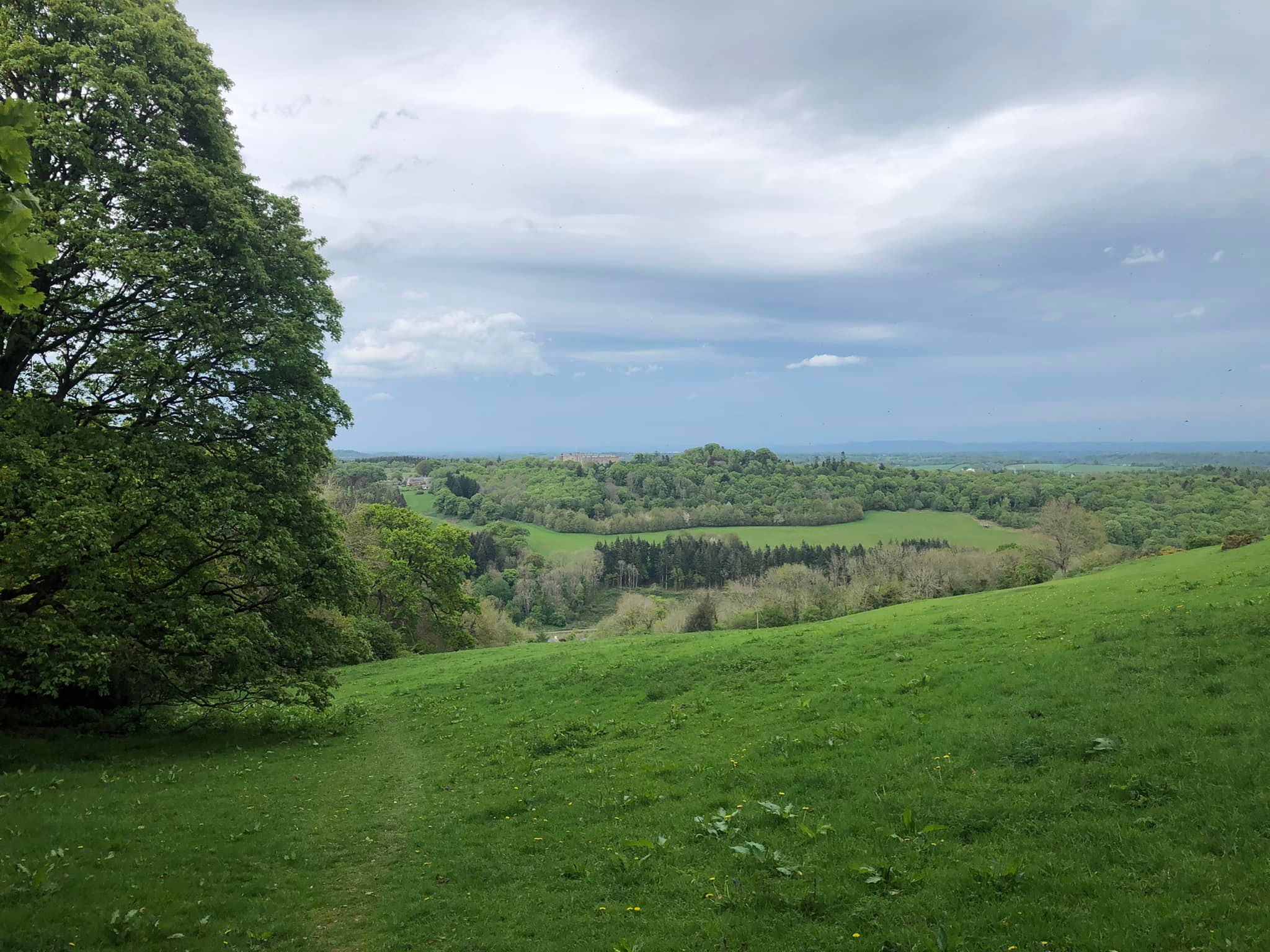 Glyndwr%20day%201%20 %205