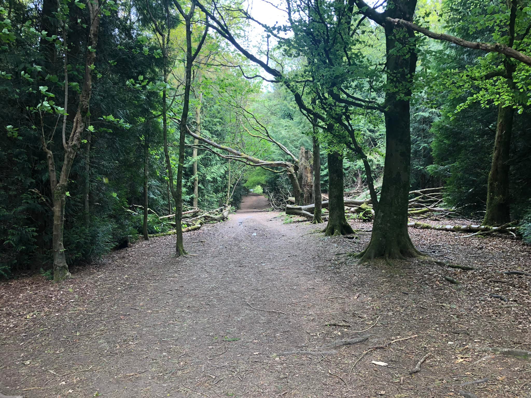 Glyndwr%20day%201%20 %203