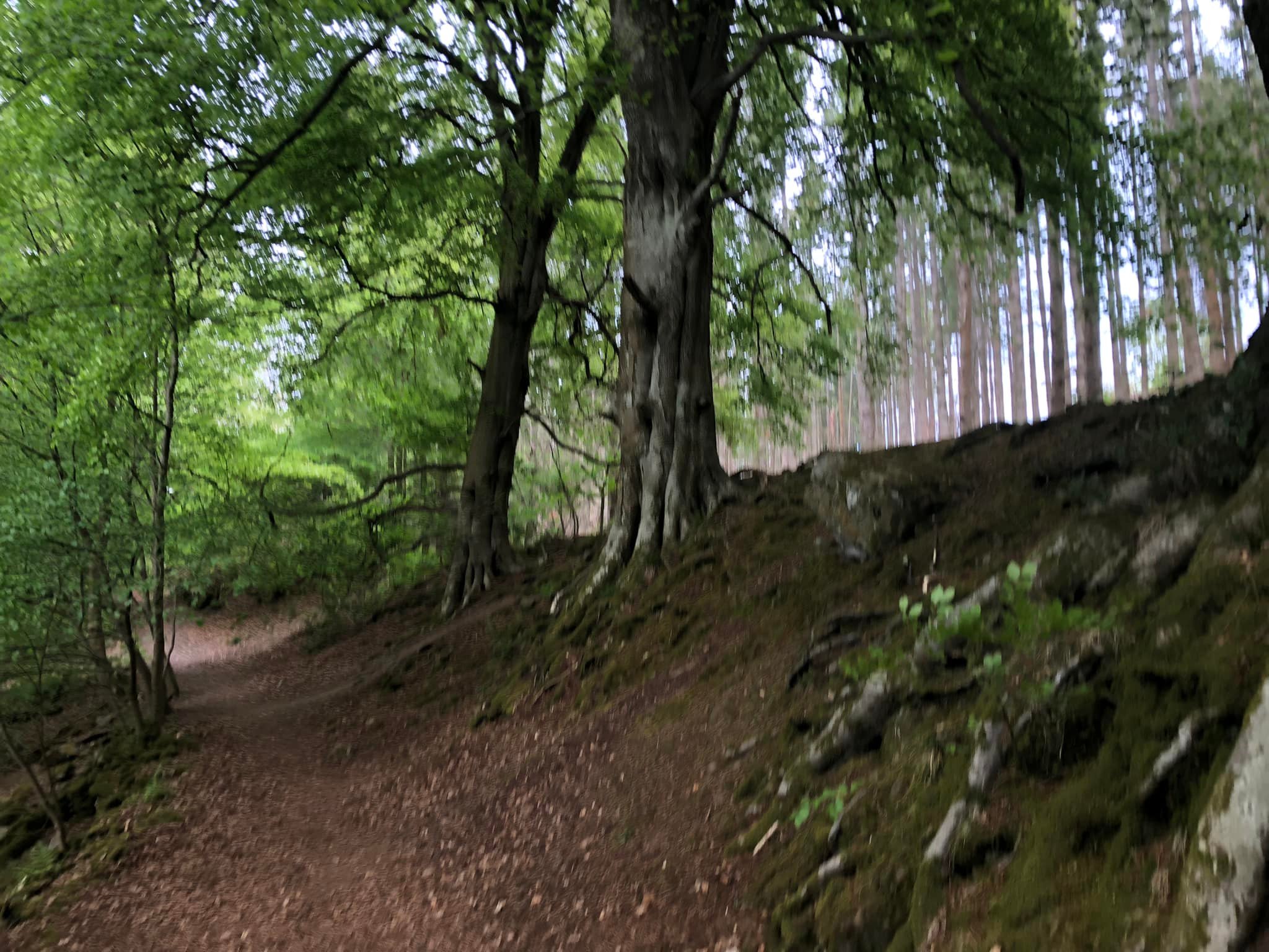 Glyndwr%20day%201%20 %206